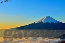 日本世界杯换-日本世界杯换人策略，灵活应对，战术智慧的展现